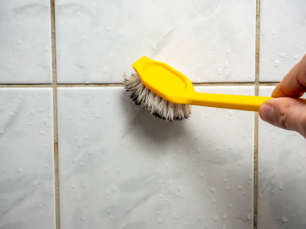 Best Toxic Mold Removal  in Sulligent, AL